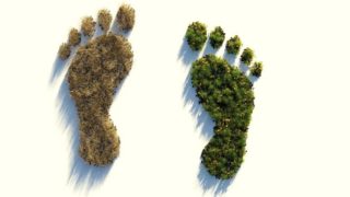 "Ökologischer Fußabdruck" jedes Einzelnen beim Konsum