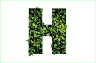 Headrix - Logo H green