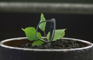 Rolf Spectacles - Bohnenbrille Substance - European Green Award 2021