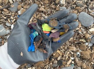 Eco Ocean Beach Clean up Modo - Baia dei frati - Sammlung