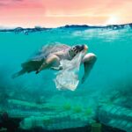 Plastik Gefahr Ozeane