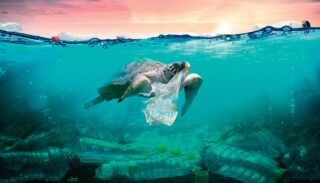 Plastik Gefahr Ozeane