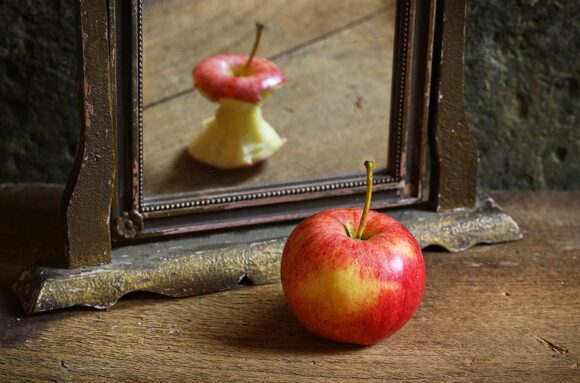 Selbstreflexion Apfel