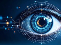 Screening Auge c partnerauge