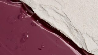 Lars Brillen Lacet pumaraida