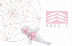 Menicon Rose K Vertrieb DACH