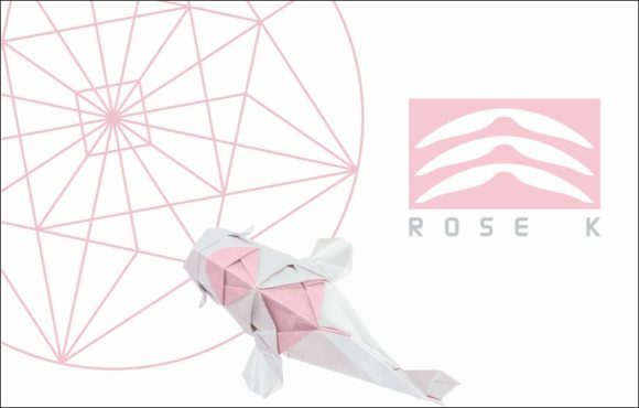 Menicon Rose K Vertrieb DACH